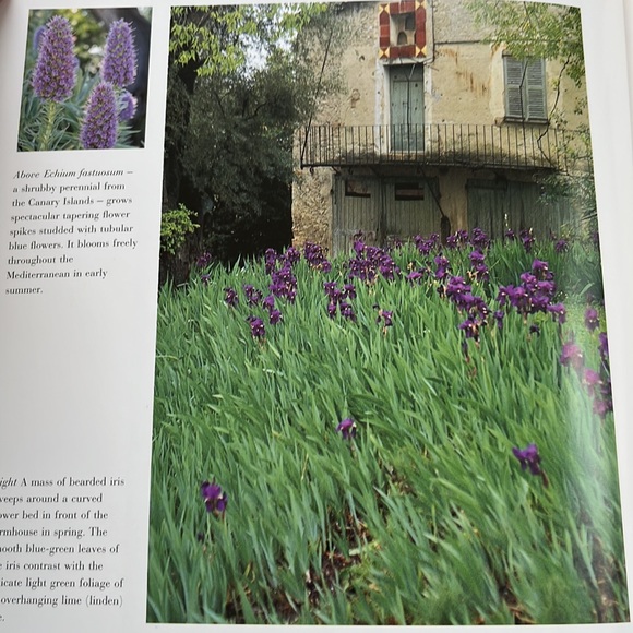 Renoir’s Garden Celebration of the Garden that inspired worlds greatest painter - Picture 11 of 16